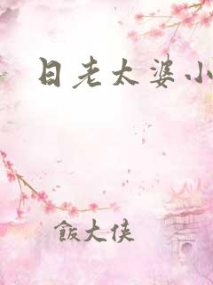 日老太婆小说