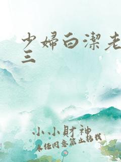 少妇白洁老二陈三