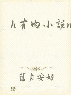h有肉小说np
