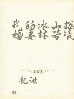 我的冰山总裁未婚妻林若曦
