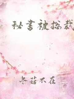 秘书被总裁c