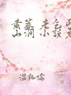 黄蓉 老乞丐 山洞 小说免费阅读