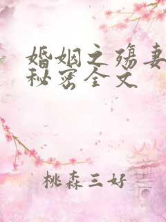 婚姻之殇妻子的秘密全文