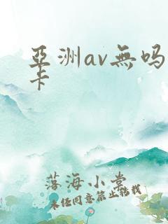 亚洲av无吗不卡