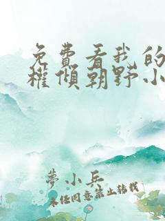 免费看我的夫君权倾朝野小说