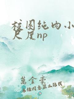 校园纯肉小说大尺度np