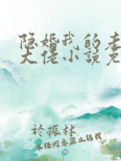 隐婚我的老公是大佬小说免费阅读