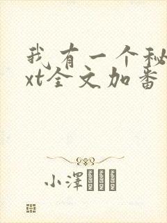 我有一个秘密txt全文加番外