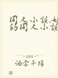 同人小说,好看的同人小说