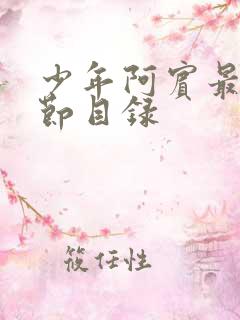 少年阿宾最新章节目录