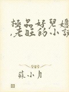 极品好儿媳秦雨,老旺的小说免费阅读