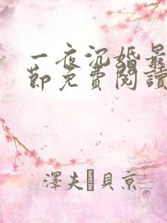 一夜沉婚最新章节免费阅读