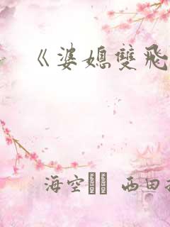 《婆媳双飞》