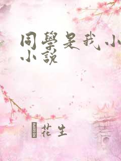 同学是我小爸爸小说