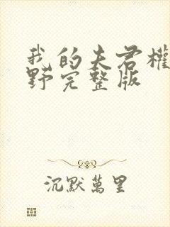 我的夫君权倾朝野完整版
