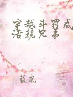 穿越斗罗成霍雨浩亲兄弟