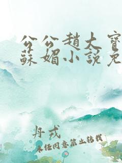 公公赵大宝儿媳苏媚小说免费阅读