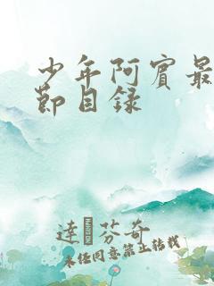 少年阿宾最新章节目录