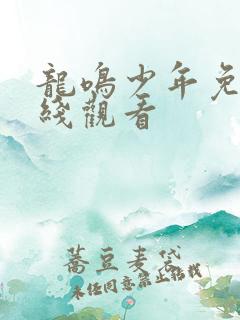 龙鸣少年免费在线观看