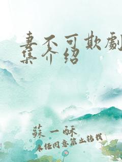 妻不可欺剧情分集介绍