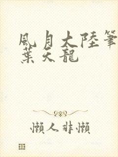 风月大陆笔趣阁叶天龙