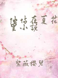 他站在夏花绚烂里小说