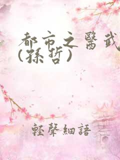 都市之医武双修(孙哲)