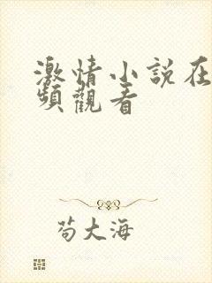 激情小说在线视频观看