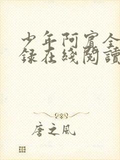 少年阿宾全文目录在线阅读