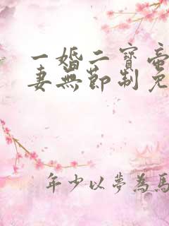 一婚二宝帝少宠妻无节制免费阅读