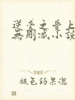 逆袭之爱上情敌无删减小说