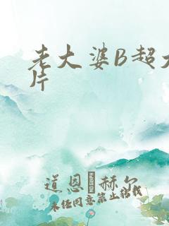 老大婆B超大图片