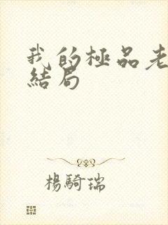 我的极品老婆大结局
