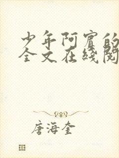 少年阿宾的故事全文在线阅读无弹窗