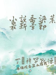 小说乔梁叶心仪最新章节