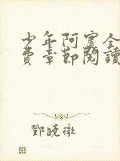 少年阿宾全文免费章节阅读