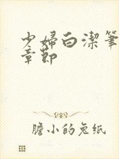 少妇白洁笔趣阁章节