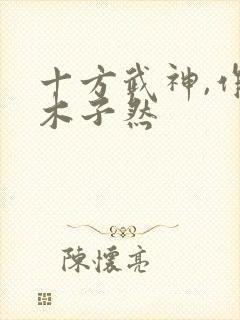 十方武神,作者木子然