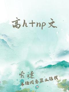 高h+np文