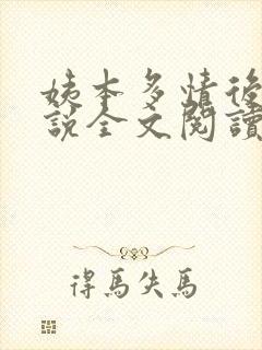 姨本多情后宫小说全文阅读免费
