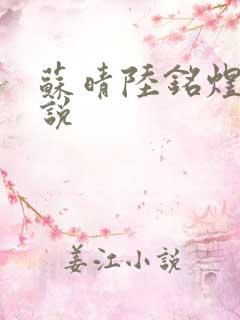 苏晴陆铭煜 小说