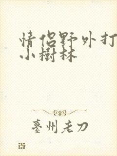 情侣野外打野战小树林