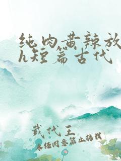 纯肉黄辣放荡高h短篇古代