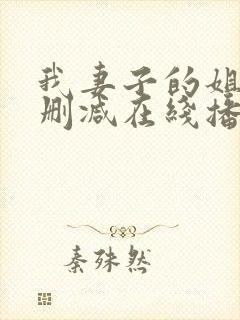 我妻子的姐姐无删减在线播放