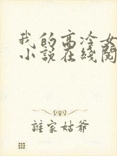 我的高冷女总裁小说在线阅读