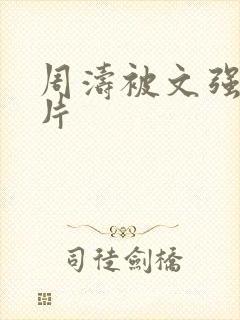 周涛被文强睡图片