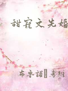 甜宠文先婚后爱
