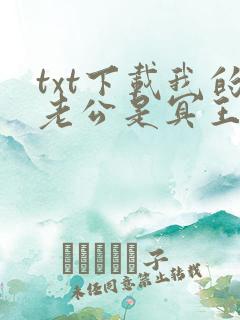 txt下载我的老公是冥王