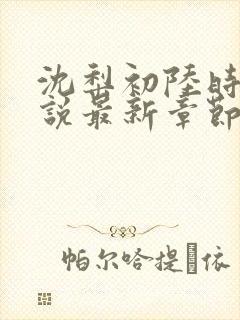 沈梨初陆时霁小说最新章节免费阅读