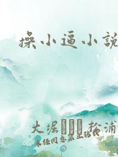 操小逼小说,